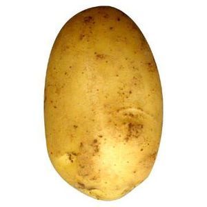 Meet your Posher, Jack